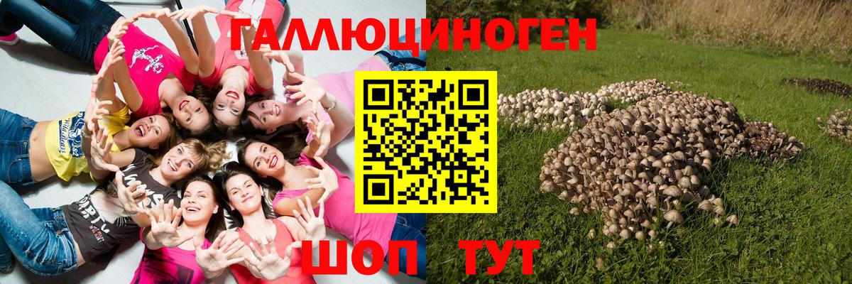 Псилоцибиновые грибы GOLDEN TEACHER  Вход с VPN  Лянтор 